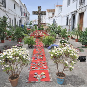 Córdoba en Mayo 2009 - Paseo por el entorno de la Cuesta del Bailío